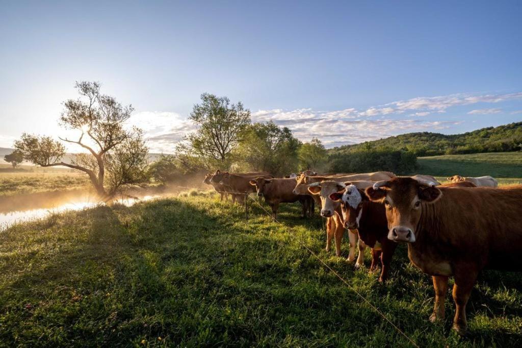 Ranc Crna Stina Villa Livno Dış mekan fotoğraf