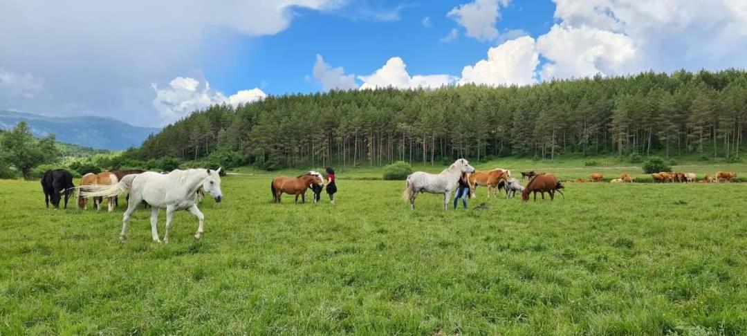 Ranc Crna Stina Villa Livno Dış mekan fotoğraf
