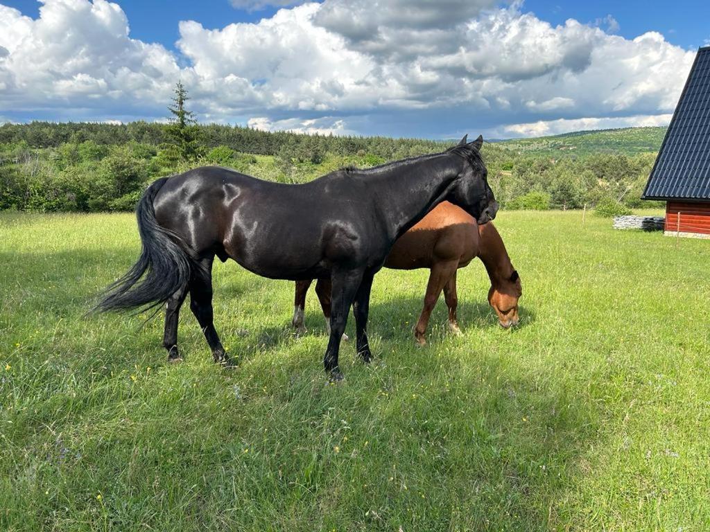 Ranc Crna Stina Villa Livno Dış mekan fotoğraf