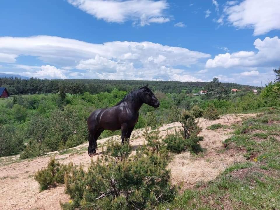 Ranc Crna Stina Villa Livno Dış mekan fotoğraf