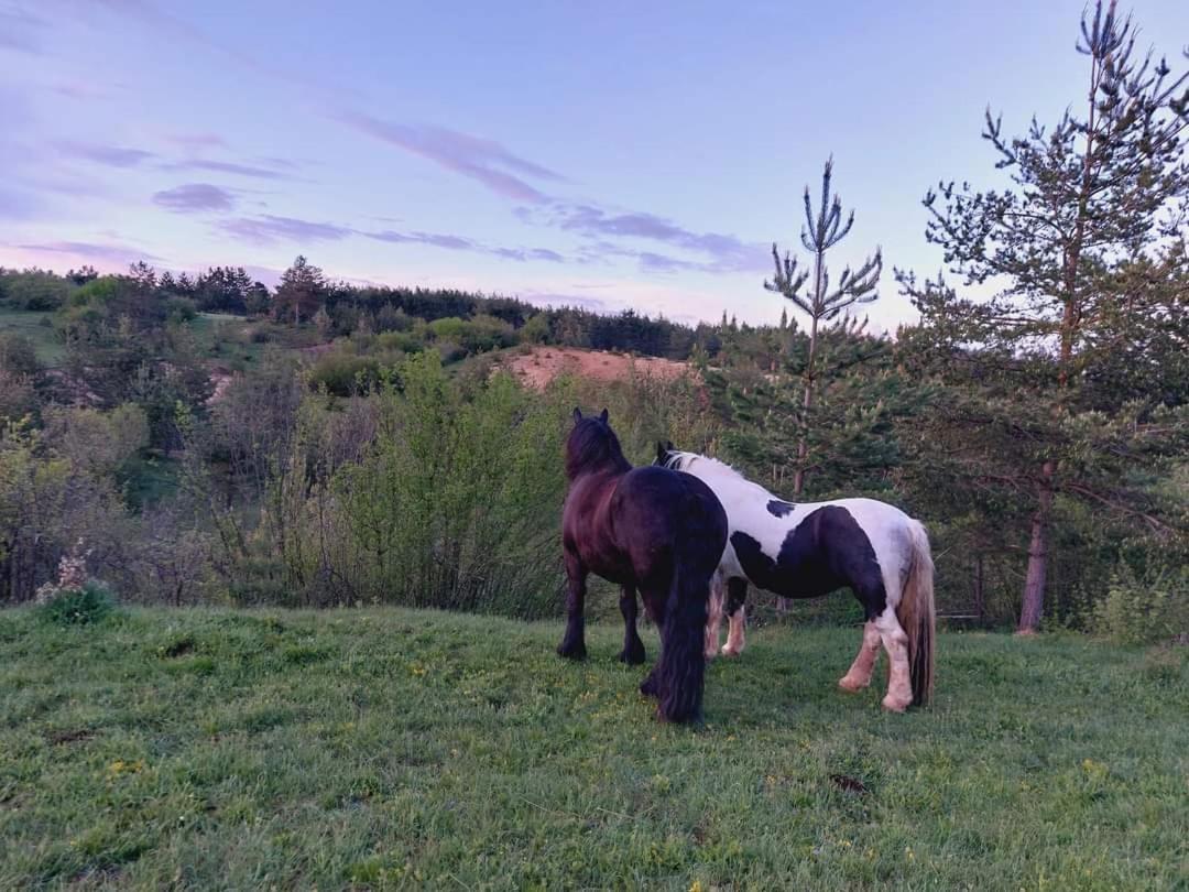 Ranc Crna Stina Villa Livno Dış mekan fotoğraf