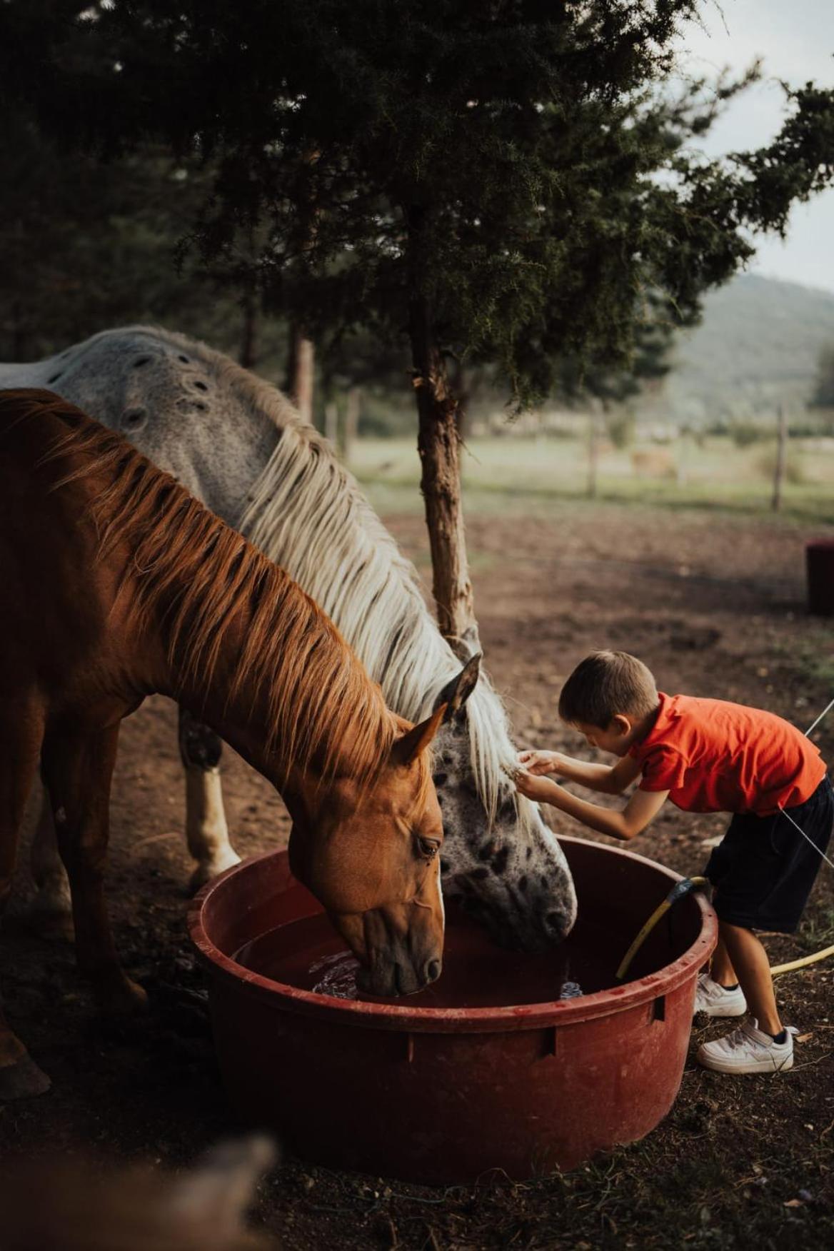 Ranc Crna Stina Villa Livno Dış mekan fotoğraf
