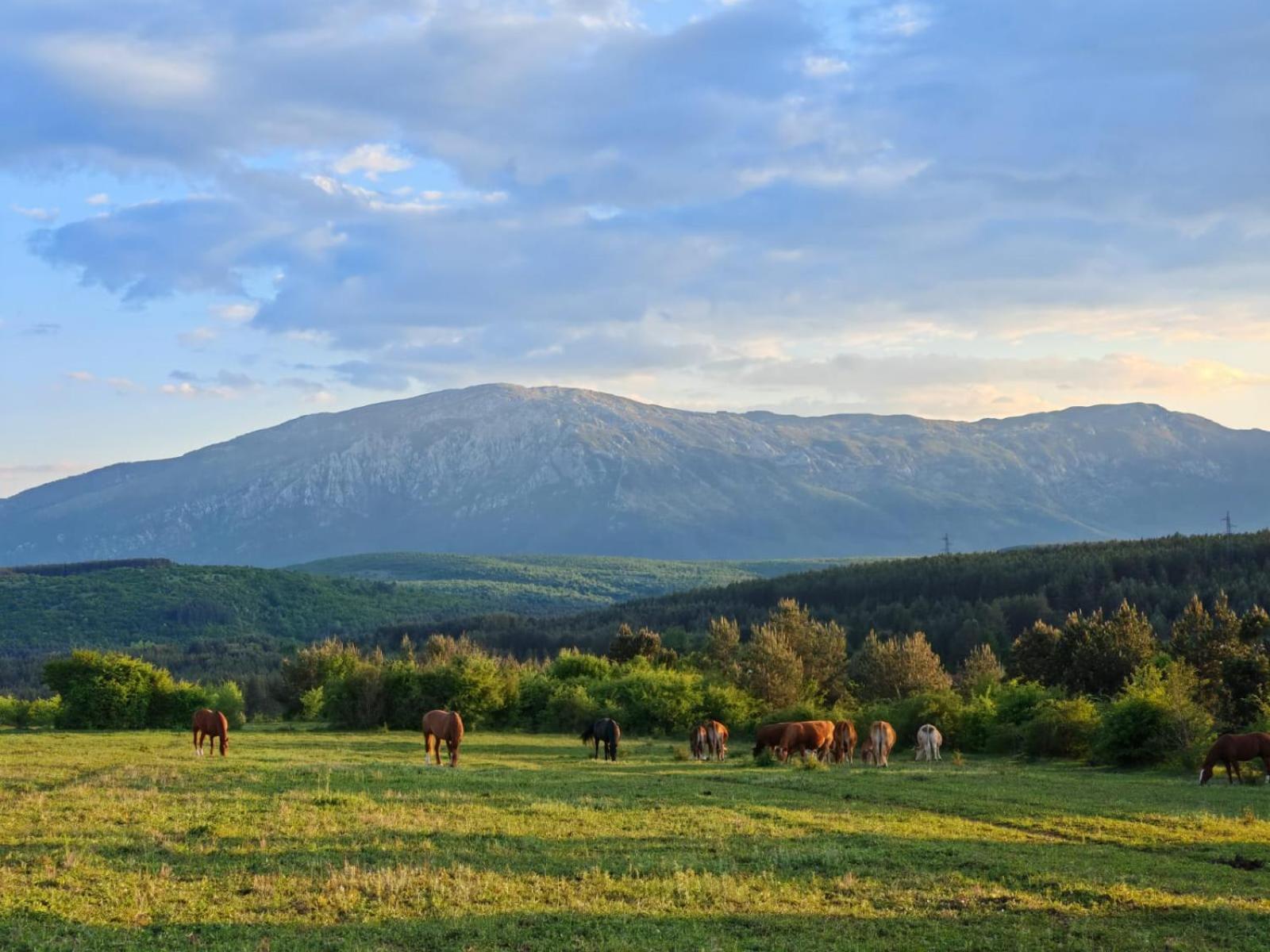 Ranc Crna Stina Villa Livno Dış mekan fotoğraf
